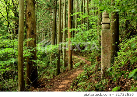 Koyasan-cho Ishimichi 45-cho stone [Koya-cho, Ito-gun, Wakayama Prefecture] 81722656