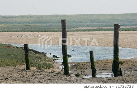 Nature Reserve 81722728
