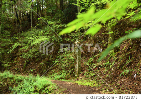 高野山町石路上的四十二塊鎮石[和歌山縣伊東郡高野町] 81722873