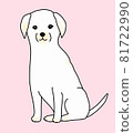 坐著的白色拉布拉多獵犬的插圖 81722990