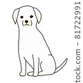 坐著的白色拉布拉多獵犬的插圖 81722991