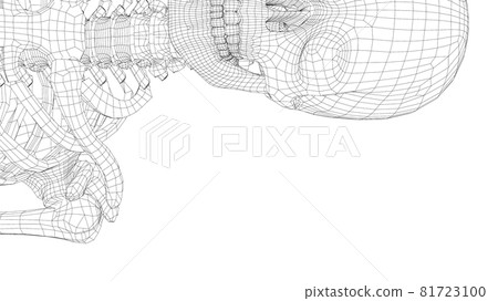 Human skeleton. Vector 81723100