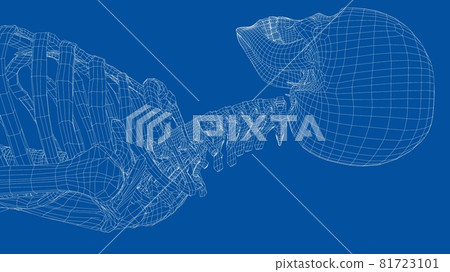 Human skeleton. Vector 81723101