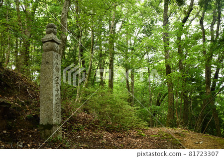 Koyasan-cho Ishimichi's 95-cho stone [Katsuragi-cho, Ito-gun, Wakayama Prefecture] 81723307
