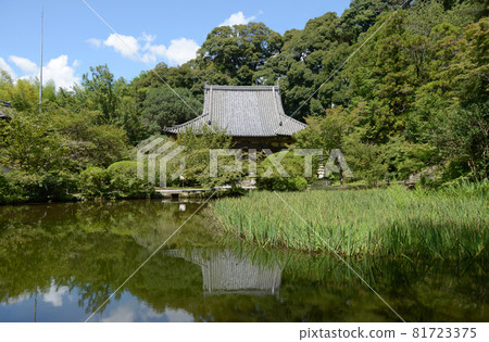 Chogakuji Temple, Hojo Pond and Main Hall, Tenri City, Nara Prefecture Chogakuji Temple, Hojo Pond and Main Hall, Tenri City, Nara Prefecture 81723375