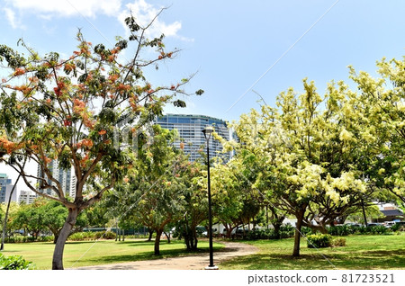 Holidays in Hawaii 81723521