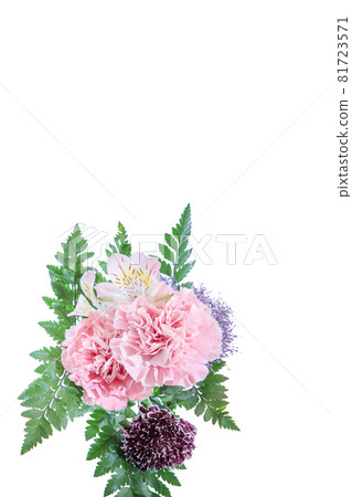 Bouquet carnation flower gift thank you perennial 81723571