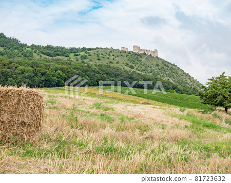Land near Pavlov with Devicky ruins in Palava, Southern Moravia, Czech Republic Land near Pavlov with Devicky ruins in Palava, Southern Moravia, Czech Republic 81723632