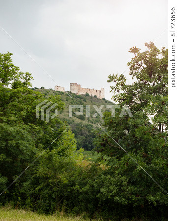 Castle Devicky in in Palava region, Czech republic. Popular ruins Castle Devicky in in Palava region, Czech republic. Popular ruins 81723656