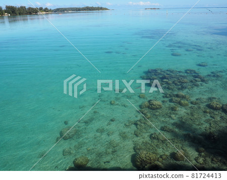 Tahiti's crystal clear waters 81724413
