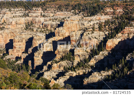 Utah landscapes 81724535