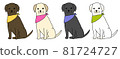 坐著的四色拉布拉多犬戴著頭巾的插圖 81724727