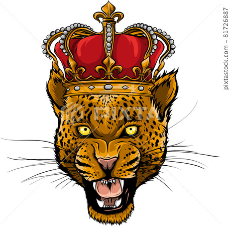 vector illustartion of Leopard Head in detailed style vector illustartion of Leopard Head in detailed style 81726887