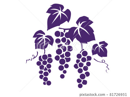 Autumn Japanese material for designers Grape design 81726931