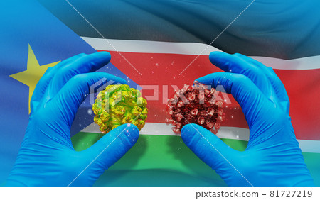 Medical virus molecular concept with flag of South Sudan. 3D illustration. 81727219