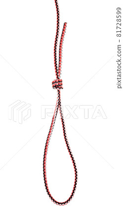 scaffold loop knot tied on synthetic rope cut out on white background scaffold loop knot tied on synthetic rope cut out on white background 81728599