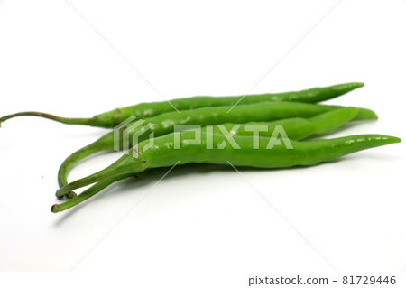 hot and spice chili pepper on white background 81729446