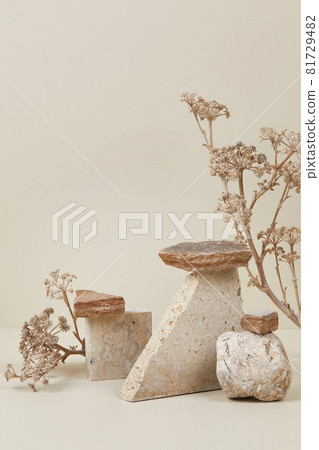 nature scene with composition of stones and dry flowers nature scene with composition of stones and dry flowers 81729482