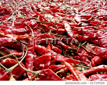red hot spicy chili peppers on shop 81729509