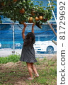 Pear hunting 81729692