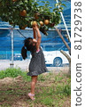 Pear hunting 81729738