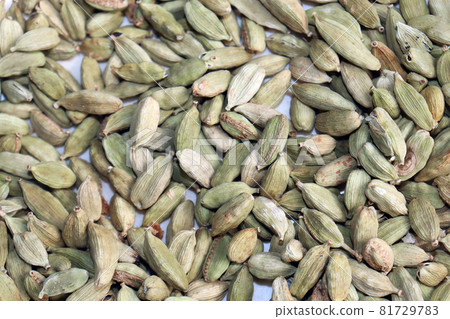 healthy and spicy Green Cardamom stock 81729783
