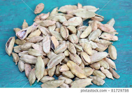 healthy and spicy Green Cardamom stock healthy and spicy Green Cardamom stock 81729786