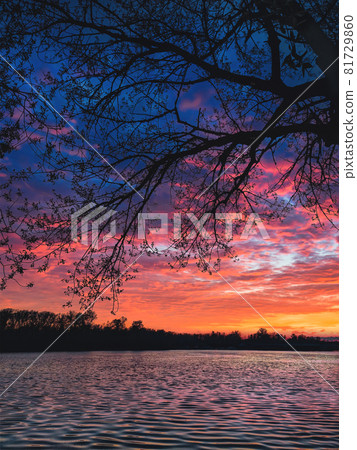 beautiful sunset with a view of the river beautiful sunset with a view of the river 81729860