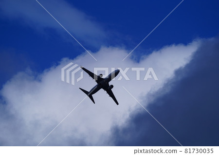 B737 who took off at Haneda Airport 81730035