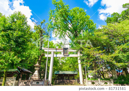 山之森八幡神社矗立在雲霧繚繞的森林中(愛知縣名古屋市) 山之森八幡神社矗立在雲霧繚繞的森林中(愛知縣名古屋市) 81731581