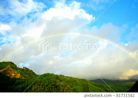 Rainbow Rainbow 81731582