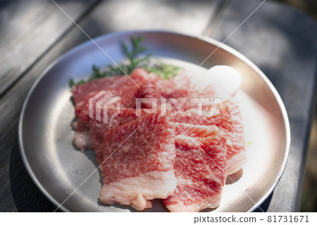 Enjoying yakiniku outdoors beneath the sunlight filtering through the trees Enjoying yakiniku outdoors beneath the sunlight filtering through the trees 81731671