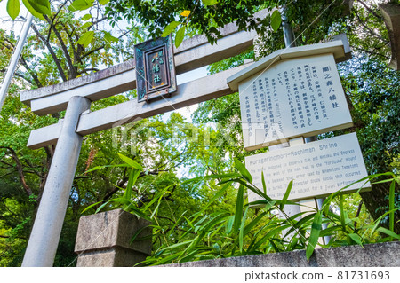 山之森八幡神社矗立在雲霧繚繞的森林中（愛知縣名古屋市） 81731693