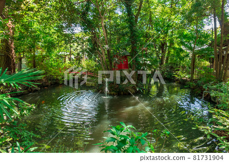 山之森八幡神社矗立在雲霧繚繞的森林中(愛知縣名古屋市) 山之森八幡神社矗立在雲霧繚繞的森林中(愛知縣名古屋市) 81731904
