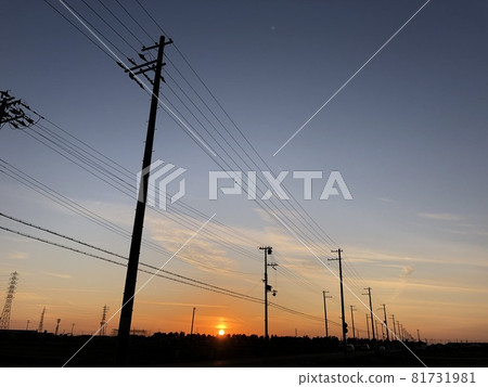 The setting sun 81731981