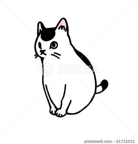 Black tabby cat Black tabby cat 81732032