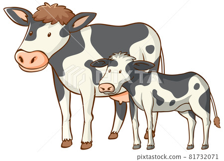 Mother and baby cow animal cartoon on white background 81732071