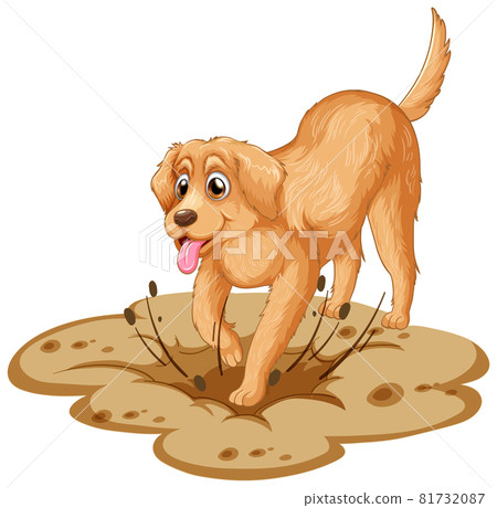 Golden retriever dog cartoon on white background 81732087
