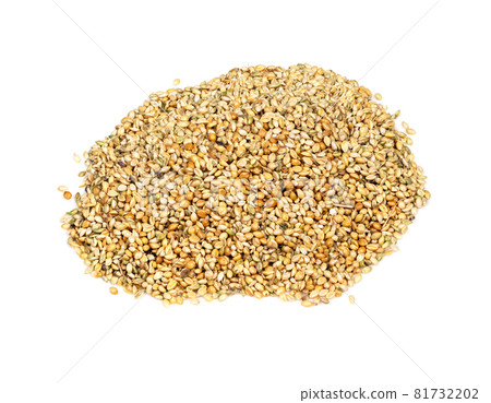 handful of unhulled foxtail millet (setaria italica) seeds closeup on white background handful of unhulled foxtail millet (setaria italica) seeds closeup on white background 81732202