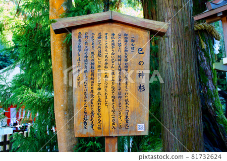 [奈良]秋天的大神神社 - 蛇神杉的資訊板 81732624