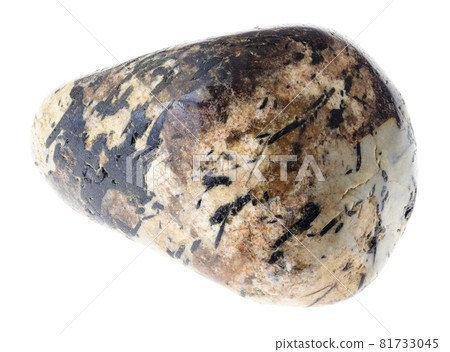 macro photography of natural mineral from geological collection - black aegirine crystals in tumbled sanidine and nepheline rock on white background macro photography of natural mineral from geological collection - black aegirine crystals in tumbled sanidine and nepheline rock on white background 81733045