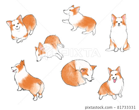 Hand-painted touch Corgi various poses illustration set 81733331