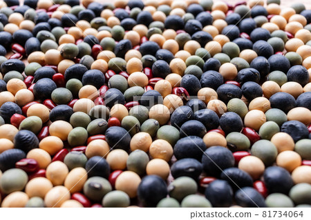 Close-up of Japanese soybeans, black soybeans, green soybeans, and azuki beans Close-up of Japanese soybeans, black soybeans, green soybeans, and azuki beans 81734064