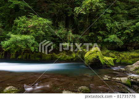 Beautiful scenery of Kikuchi Gorge in early autumn 81735776