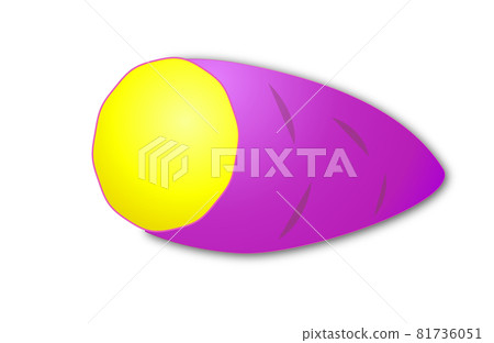 Autumn image. Illustration of a cross section of sweet potato. 81736051