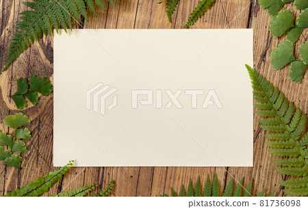 Blank paper card on a wooden table decorated with fern leaves Blank paper card on a wooden table decorated with fern leaves 81736098