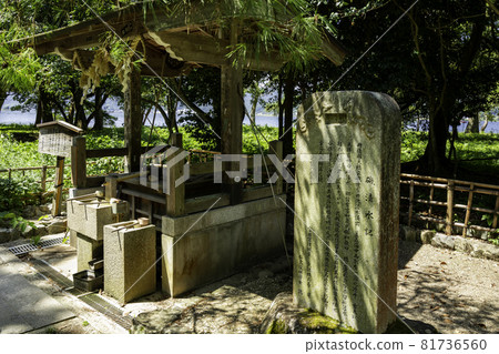 Amanohashidate Iso Shimizu Miyazu City, Kyoto Prefecture 81736560