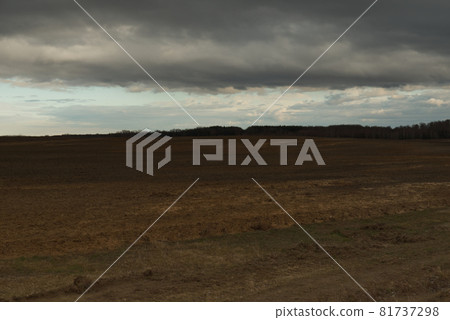 Horizon over agricultural fields in the evening. Overcast landscape. Horizon over agricultural fields in the evening. Overcast landscape. 81737298