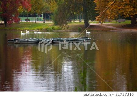 Boat circle on a lake in a park in autumn 81737316