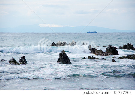 從白浜陡崖遠眺伊豆大島三原山(千葉縣南房總市) 從白浜陡崖遠眺伊豆大島三原山(千葉縣南房總市) 81737765